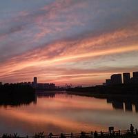 刘玉8241头像