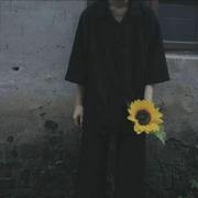澄之的个人资料头像