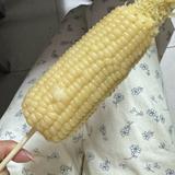 优雅钢笔WTn头像