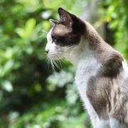 忧郁的香菇的个人资料头像