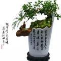 清闲的书签Ks头像