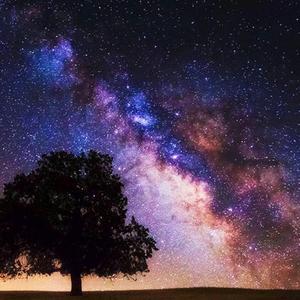星座十二坊头像
