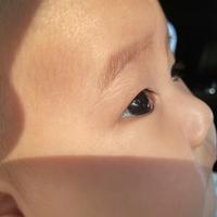 深圳搬砖深圳花头像