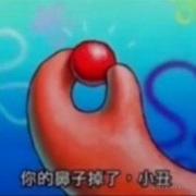 黄金番茄的个人资料头像