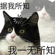 GnefIzNap的个人资料头像
