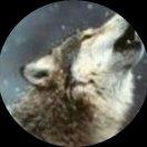 woangel的个人资料头像