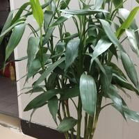 用户2602563255872头像