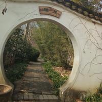 岁月无忧567头像