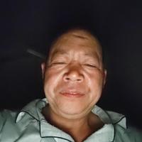 雄鹰头像