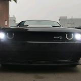 大佬头像