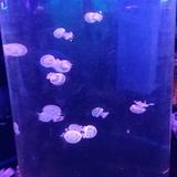 什么学计算机头像