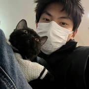 南依清欢的个人资料头像