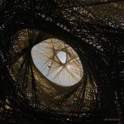 紫菜捏的个人资料头像