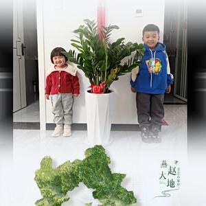 涛哥爱文姐头像