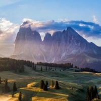 数字用户819头像