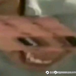 乘风破浪点个赞吧头像