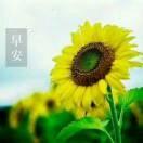 东北甜妹775头像