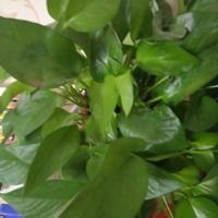 平淡生活1226头像