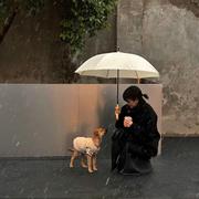 宝宝不渣的个人资料头像