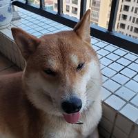 用户8672447118986头像