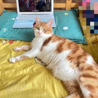 小兵一号来也头像