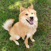 大道和天道头像