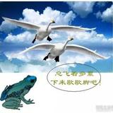 用户1784346680047头像
