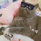 ptbab头像