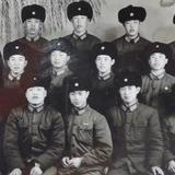 避风港4235头像