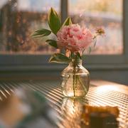 winnieLu的个人资料头像