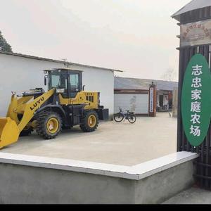 无言的JJ头像