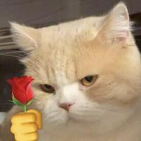 自由松原5C1头像