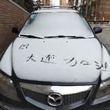 dl椰枫头像