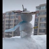 追风他大爷头像