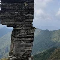 朴实露珠Nh头像