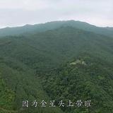 苦尽甘来头像
