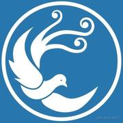 飞翔中文网的个人资料头像