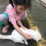 黑镝头像