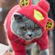 小丸子猫
                        头像