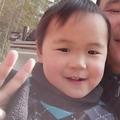 一丝不苟熊猫kQ头像