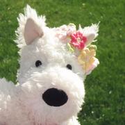 消了磁的比尔盖的个人资料头像