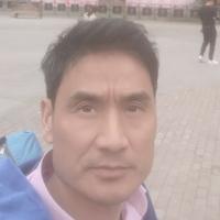 上进的花猫etr头像