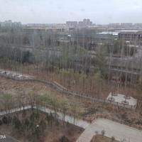 福一平安福头像