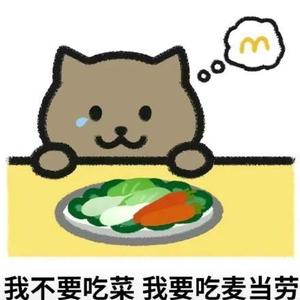 愿下辈子没有渣女头像