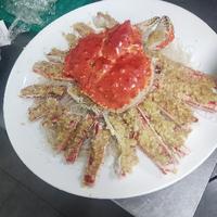 喜欢腰鼓的罗兰紫头像