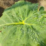 热心生活家rdV头像