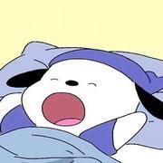 AZi的个人资料头像