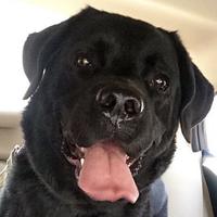 用户6481452620244头像