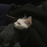 用户9498077980166头像