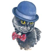 带帽的猫的个人资料头像